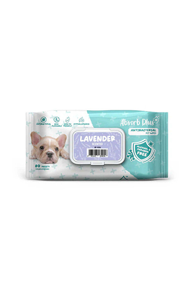 Absorb Plus AntiBacterial Pet Wipes Lavender Scented