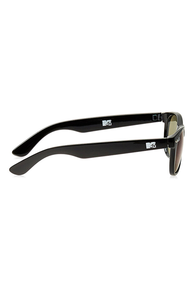 Wayfarer Sunglasses