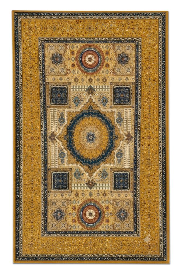 Sdt Traditional Patterned Modern Woven Base Decorative Carpet Sdtamor5072