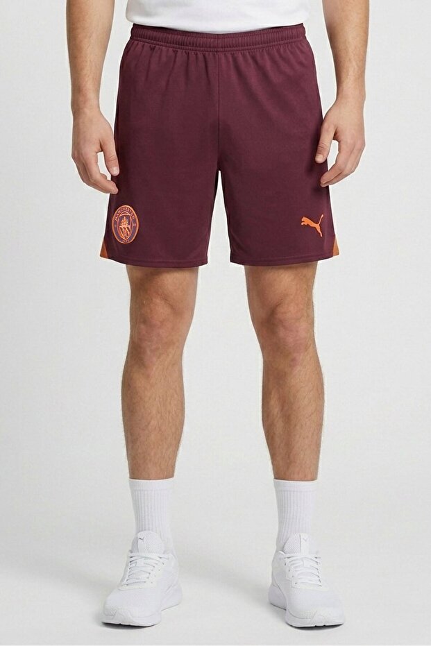 Men Sportswear Fit Brand Logo Training Shorts, Maroon
