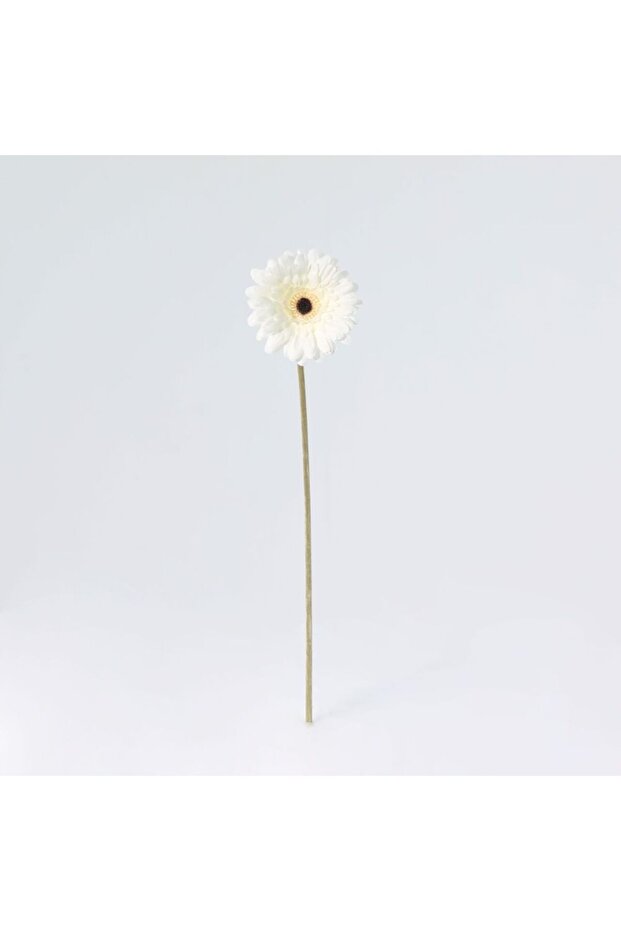 New In Fernza Gerbera Daisy Single Stem White H52Cm