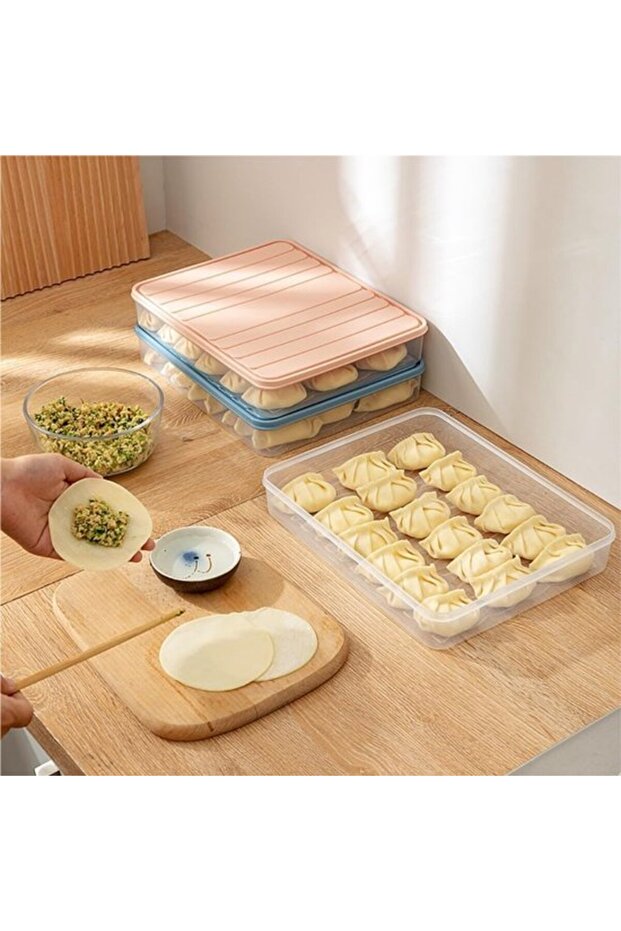 pieces Dumpling storage box, food container, household refrigerator storage box, freezer box, dumpling and wonton freezer box (pink, blue)