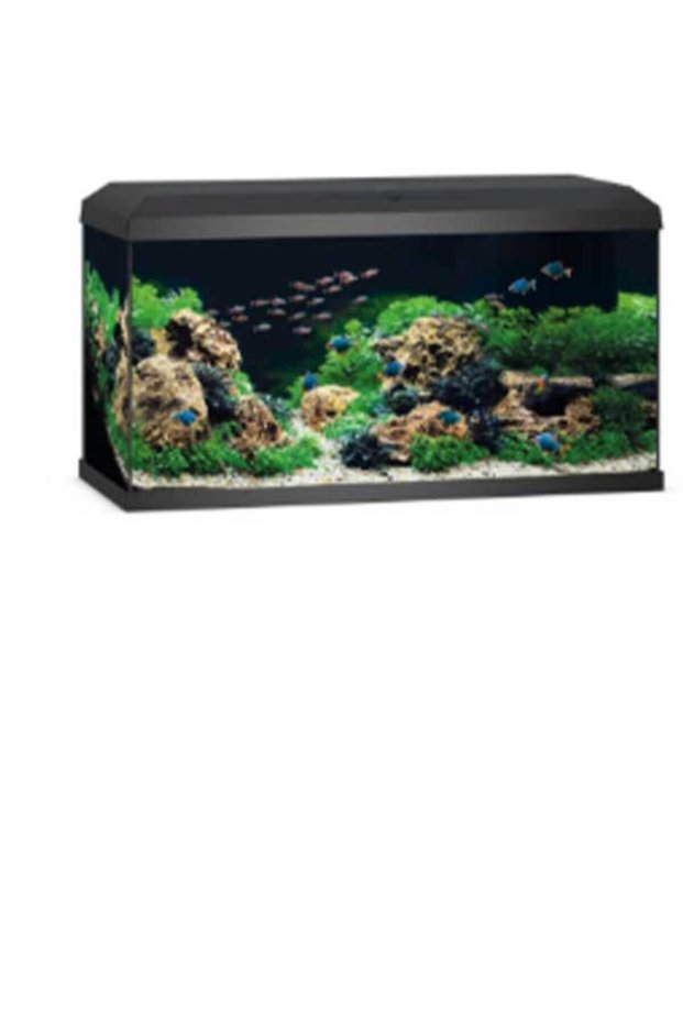 Primo 110 LED 2.0 Black