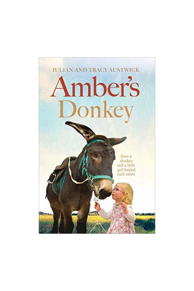 Amber's Donkey