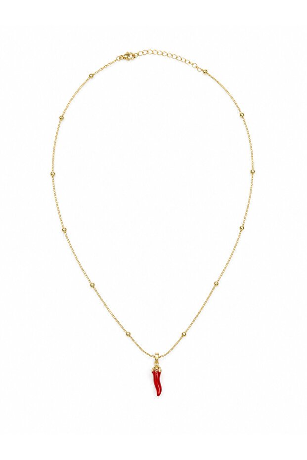 Top Detail Chain Şans Biber Steel Necklace