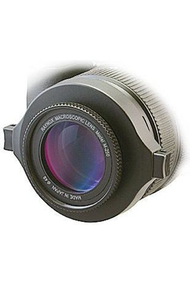 Raynox DCR-250 - 2