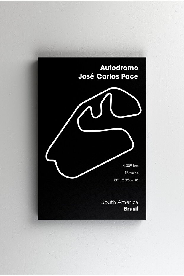 Tablou Canvas - Jose Carlos - 1