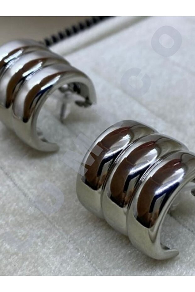 Steel Inoxidable Gold Silver Earrings | Gift Boxed