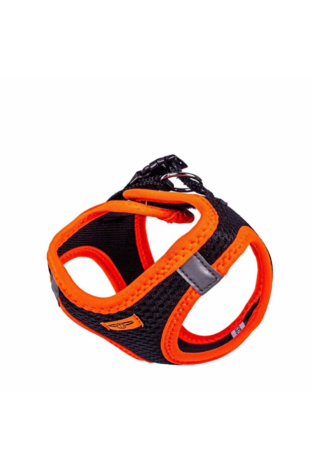 Neon Small Breed Dog Collar