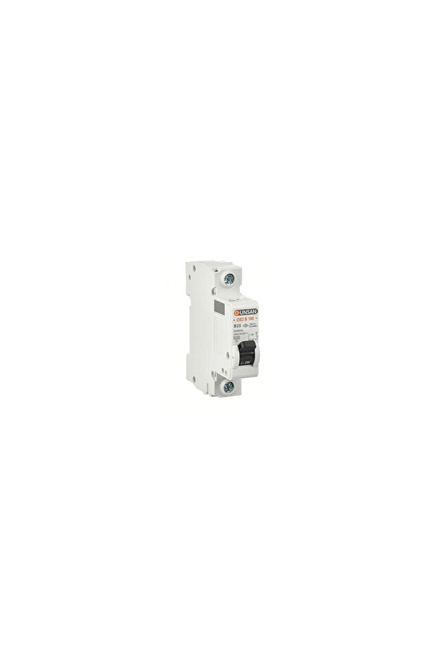 Günsan 1X25a B Type 6 Ka صمام أمان أوتوماتيكي OS3B160-25