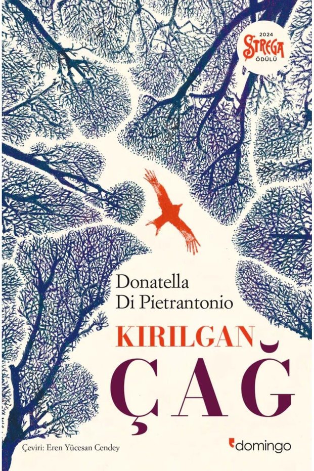 Kırılgan Çağ / Donatella Di Pietrantonio / / 9786051984483
