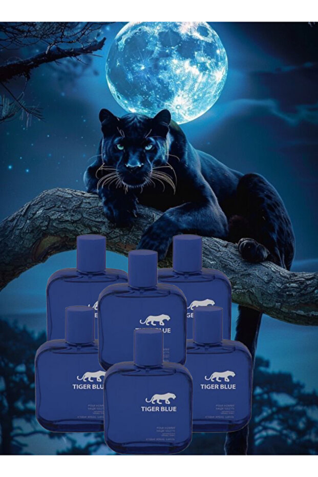 6 قطع عطر أزرق 100 مل