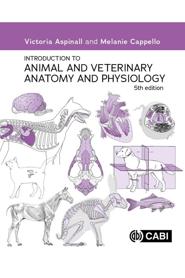 Introduction To Animal And Veterinary Anatomy And Physiology