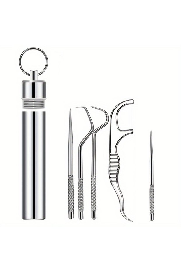 5PCS Stainless Steel Toothpick Cleaning Tool, Reusable Toothpick Box with Keychain Suitable for Outd