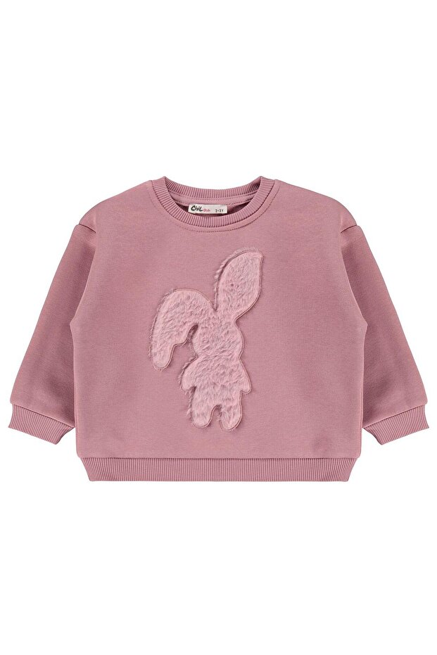 Rabbit Embroidered Sweatshirt for 2-5 Years - Pink