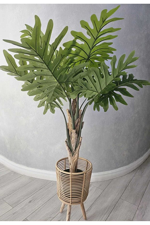 Philodendron 130cm - 4
