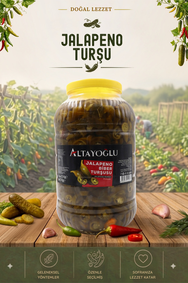 5000 CC JALAPONE TURŞU (2500 GR)