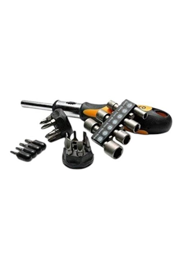 Ratchet Handle and Bits 24 pcs set