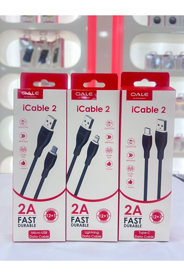 USB TO LIIGHTNING iCable 2 L