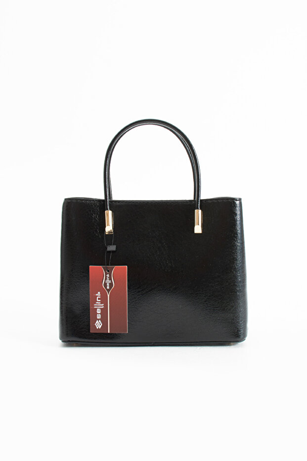 Jesse Vertical Form Hand and Shoulder Bag with Gold Buckle Detail Mint Green
