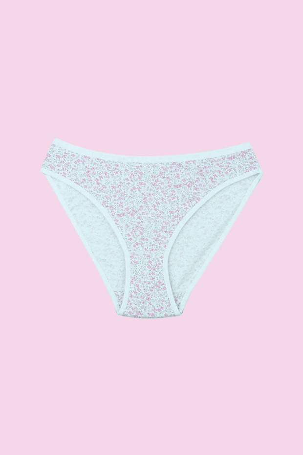 12 Pieces Women's Printed (Asorti) Lycra Bikini Panties 95% Cotton 5% Lycra