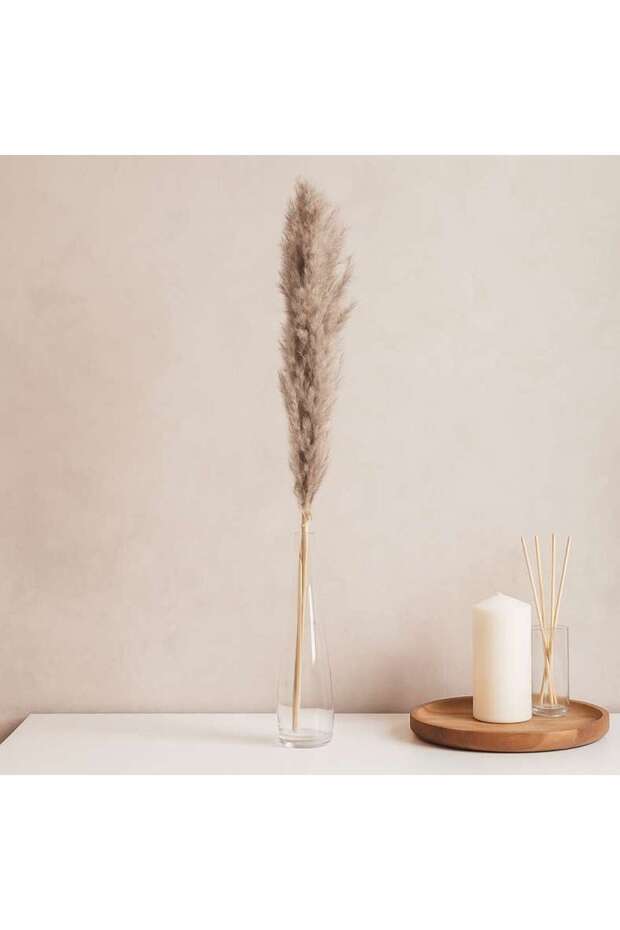 Natural Dried Pampas Grass 110cm - Natural
