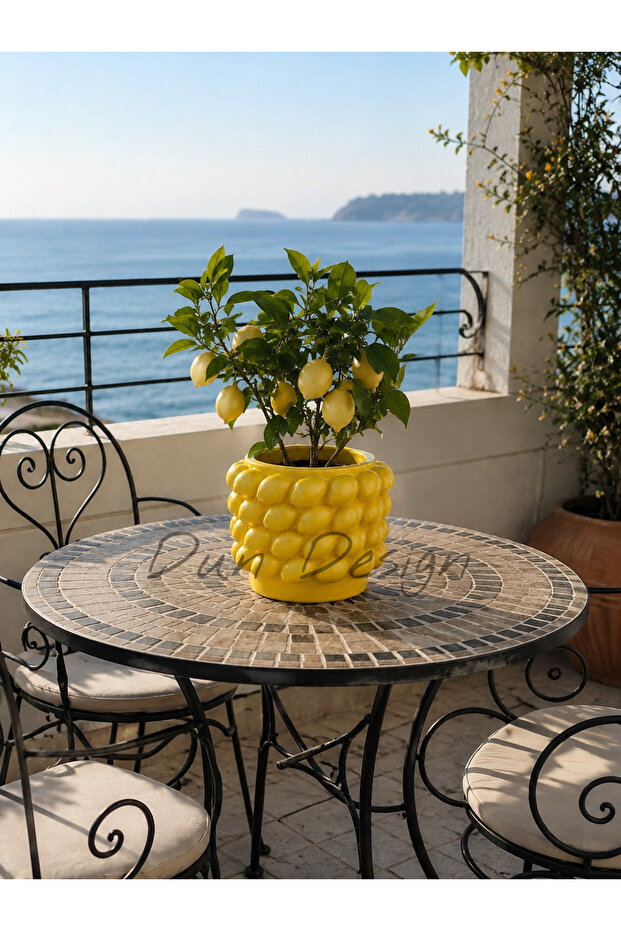 Design Limon Saksı