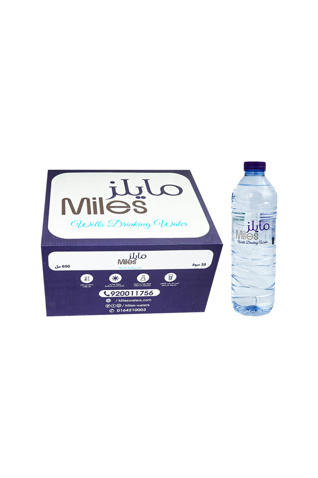 600 ML (30 bottles)