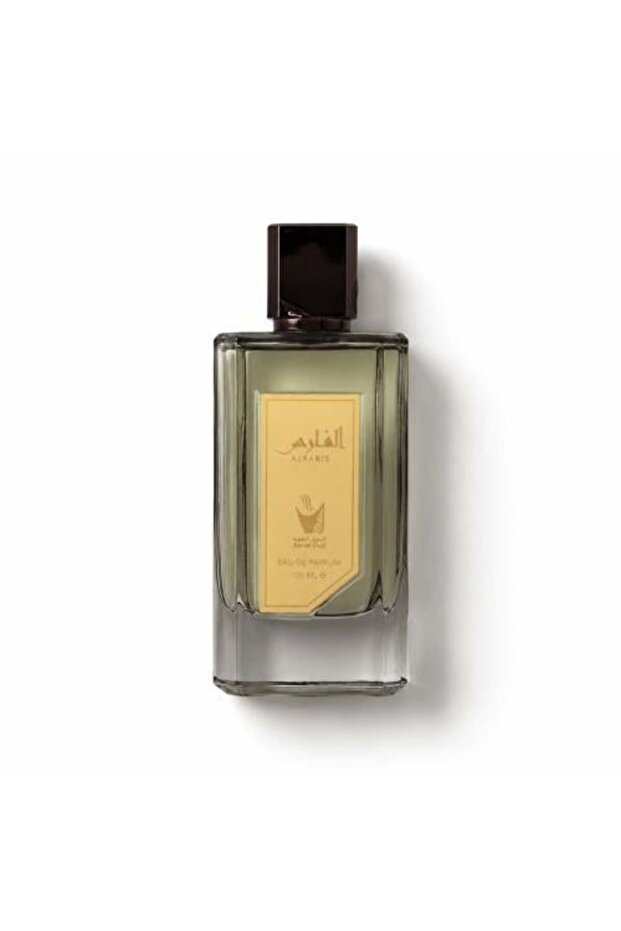 الفارس