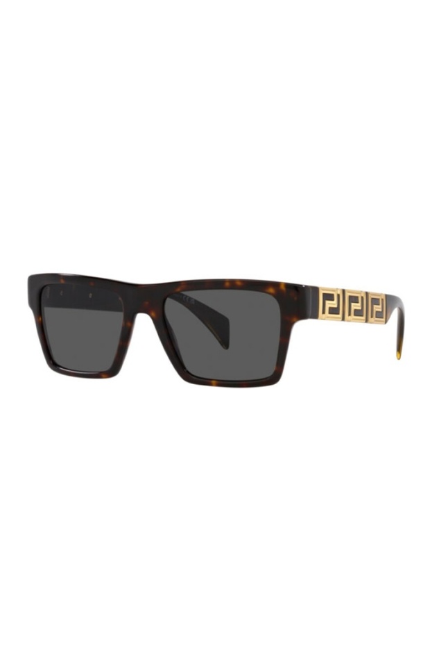 Sunglasses Ve4445 54 108/87