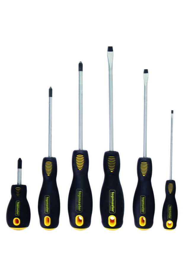 Screwdriver set 6pcs SVCM TMP