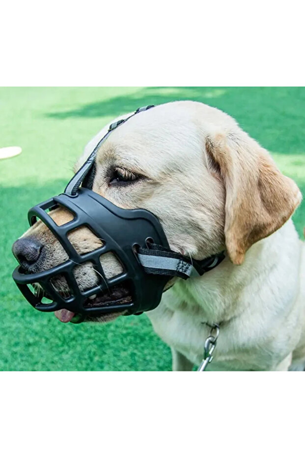 Dog Muzzle Taqtu Adjustable - 4