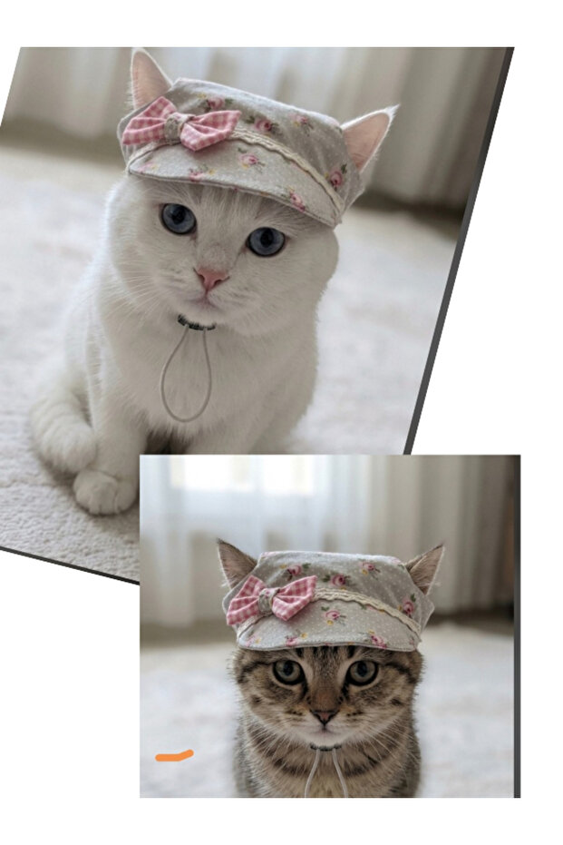 Cat Dog Hat Size m