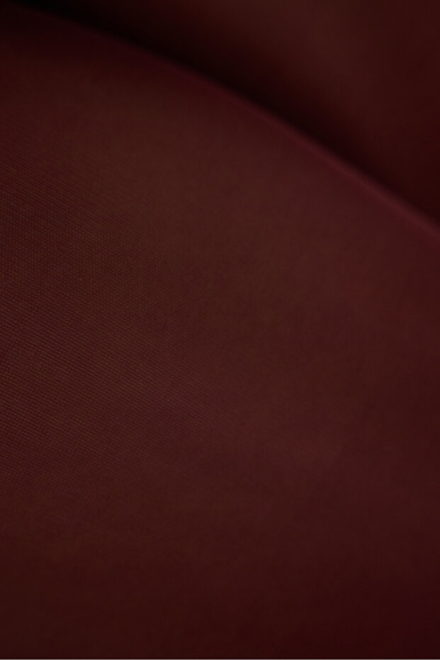Spotlight Pantyhose - 3