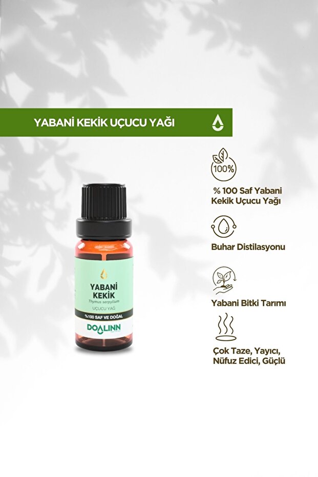 زيت الزعتر العطري البري (Thymus serpyllum) 10 مل.