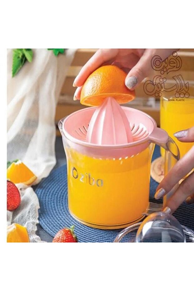 Manual Hand Squeeze Citrus Fruit Juicer & Orange Squeezer with Strainer Box