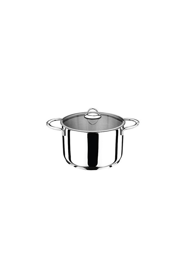 Stainless Steel Pot 22 cm with Glass Lid