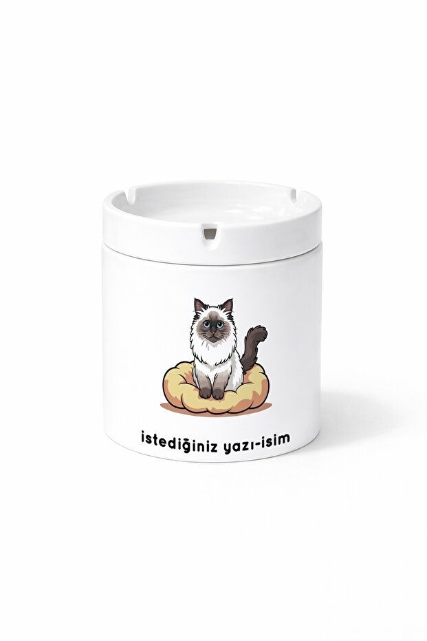 Animal Burmese Cat Sacred Burmese Cat Double Sided Printed Porcelain Magic Mug Cup