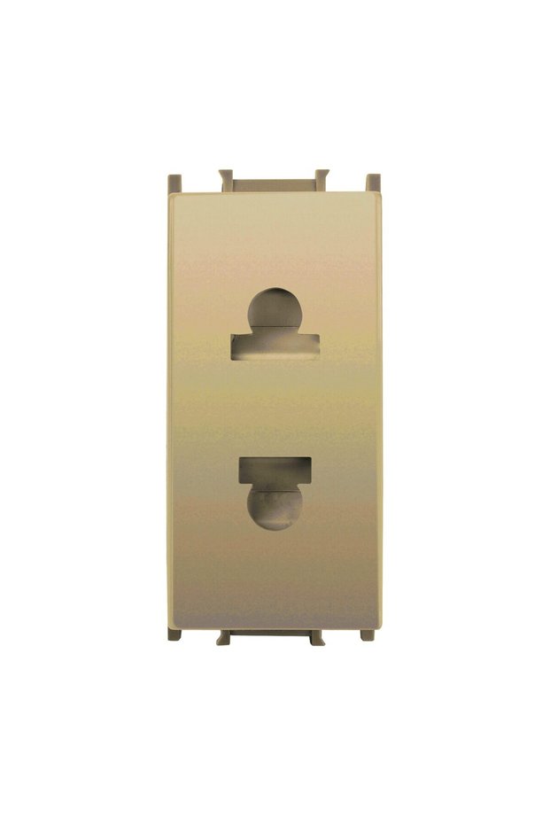 PRIZA EURO-SUA MODULAR DORE 1M