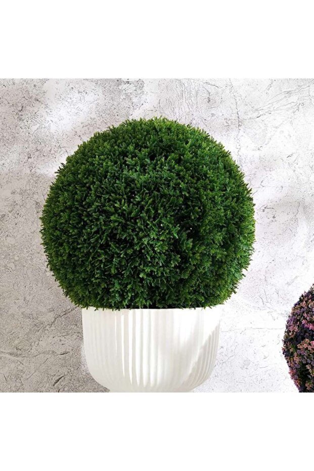 Cedar Boxwood Ball Dia51cm - Green