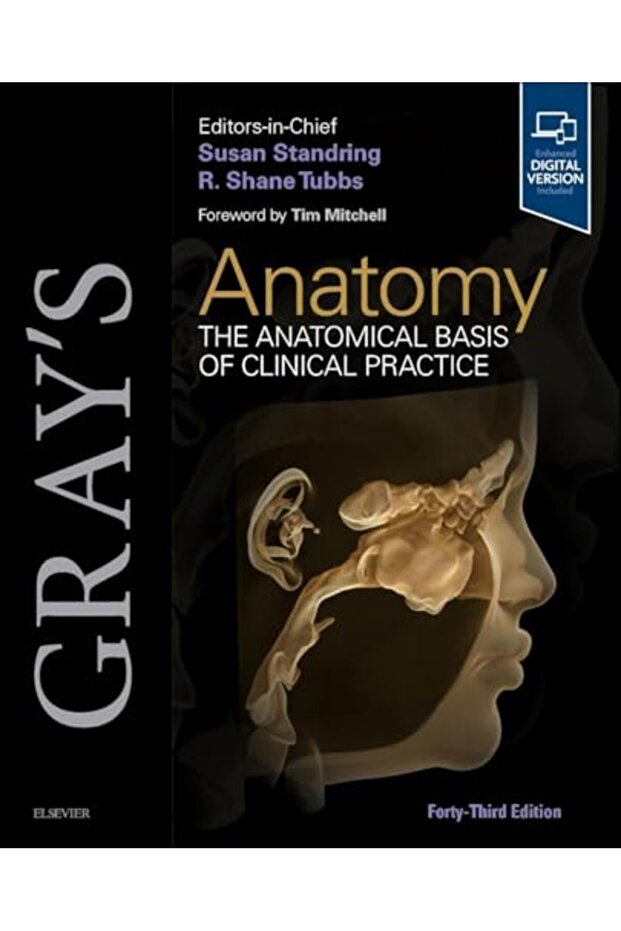 Gray's Anatomy - 1