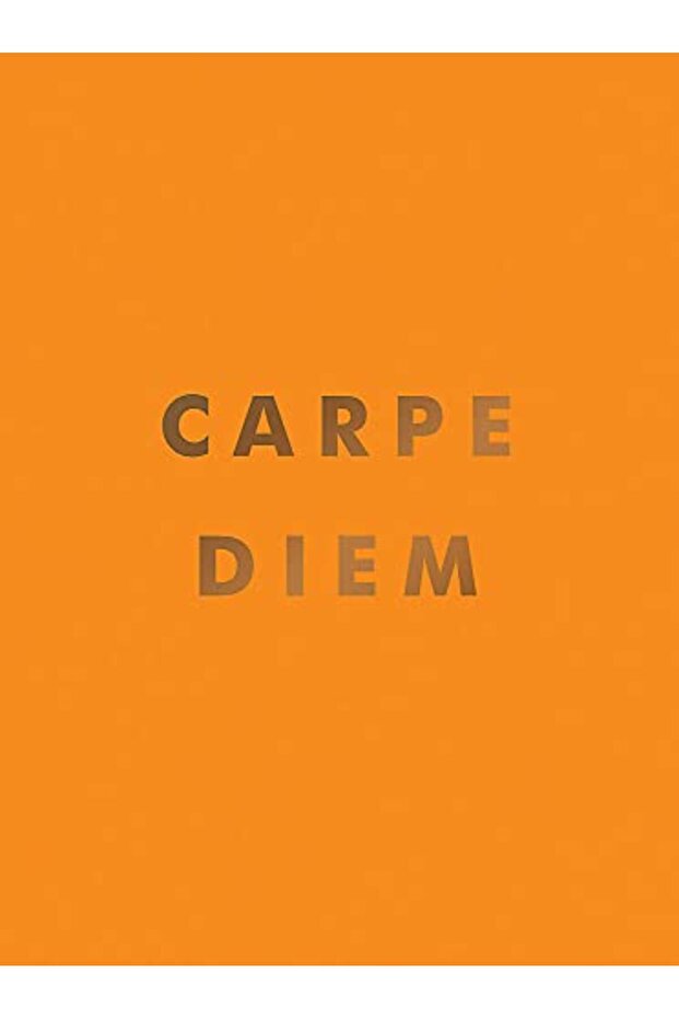 Carpe Diem Inspirational Quotes And Awesome Affirmations For Seizing The Day