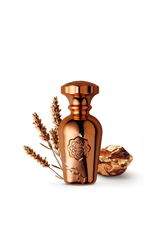 BRONZY - Perfume For Men | Premium Metallic Collection | Eau De Parfum - 75ml