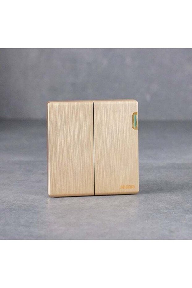 Milano 10A 2G 1W Electrical Switch for Home Appliances, Office, Hotel, Aura Gld