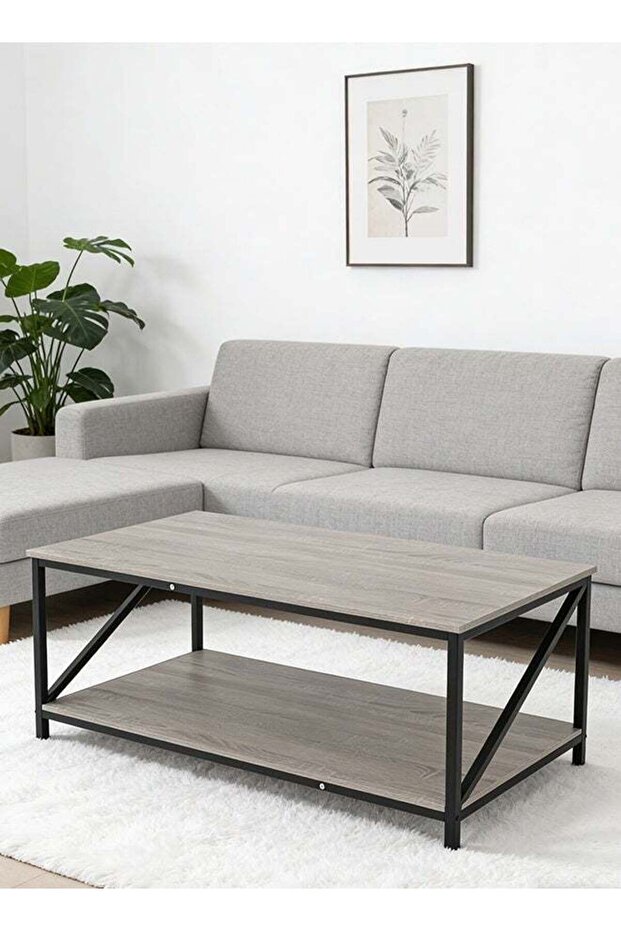 Migue home Modern Two Tier Coffee Table for Living Room, Easy Assembly, 100cm L x 55cm W x 45cm H, Washed Grey Color
