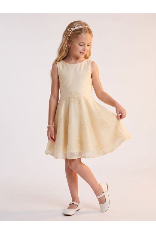 Girl's Dress with Embroidered Detailing and Design