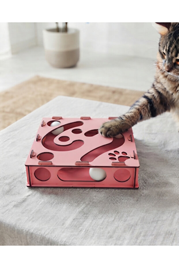 Wooden and Bulk Cat Toy