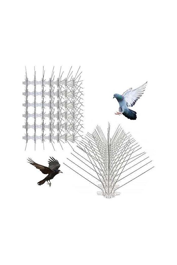 Pack of 12 Stainless Steel Bird Deterrent Spikes