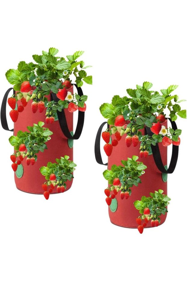 (20 x 35 cm) (Red) Two hanging strawberry planting bags. Made of non-woven fabric. With 12 holes. Also for planting strawberries, herbs and flowers.