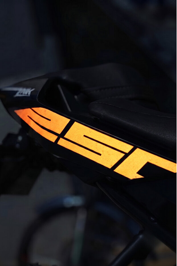 Rear Tail 250 Lettering Sticker Decal with Reflector (Right and Left) for Cfmoto Nk250